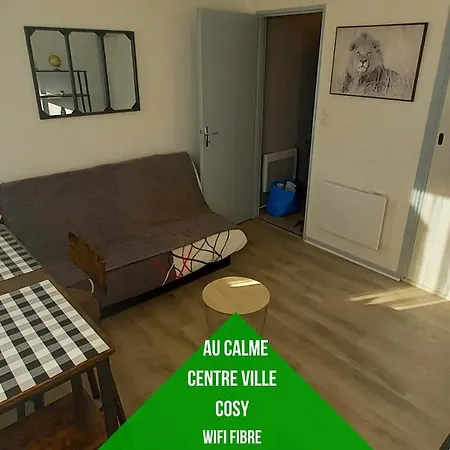 Petit Cocon Tarbais -wifi-parking
