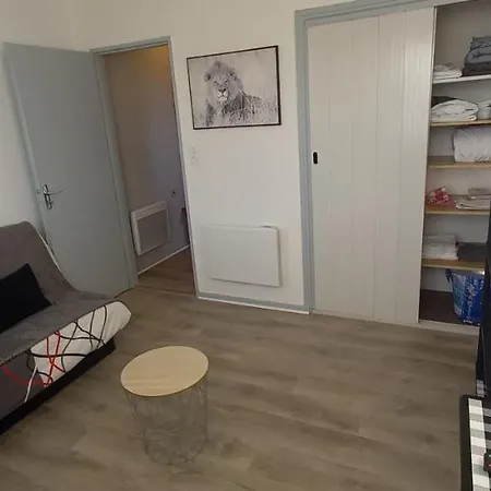 Apartment Petit Cocon Tarbais -wifi-parking